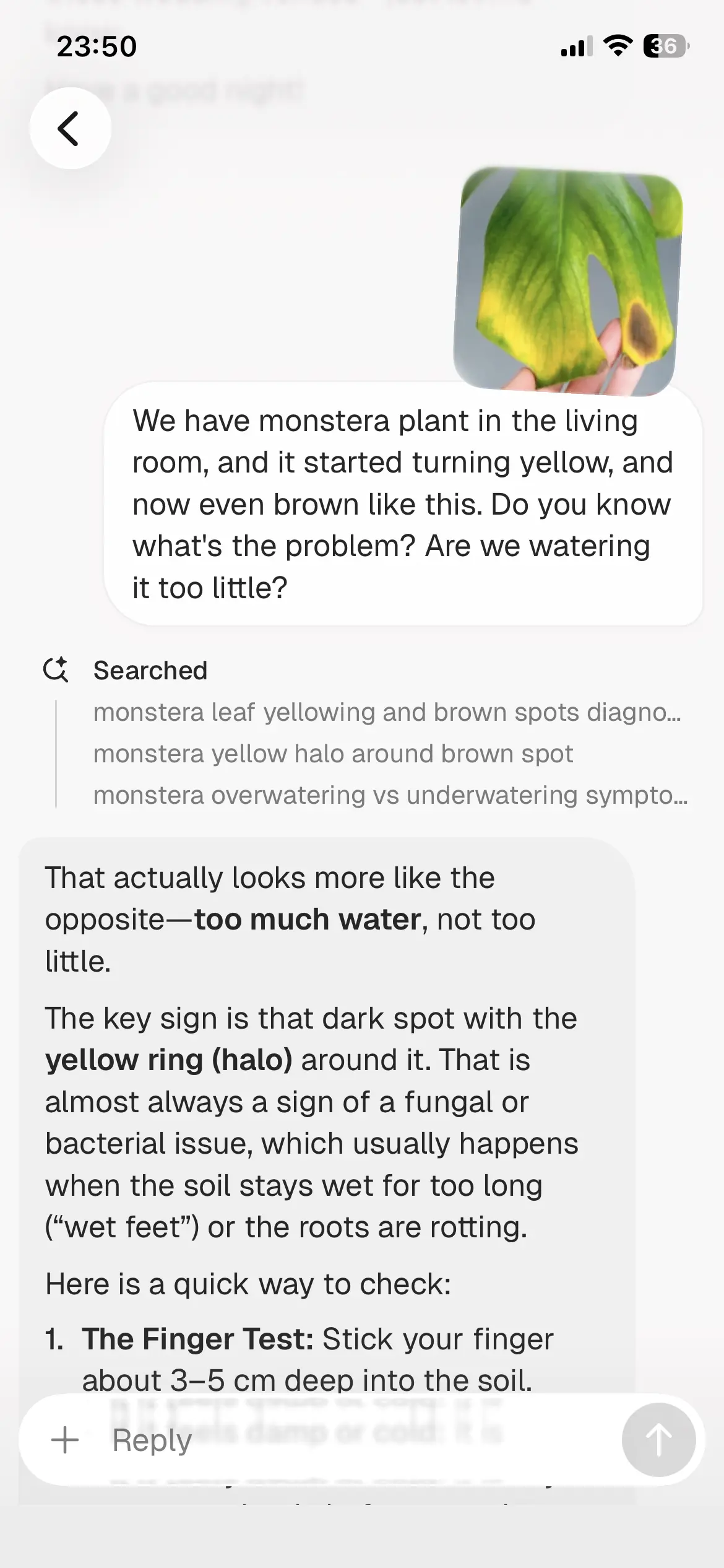 Good Assistant helping figure out what to do with a sick plant.